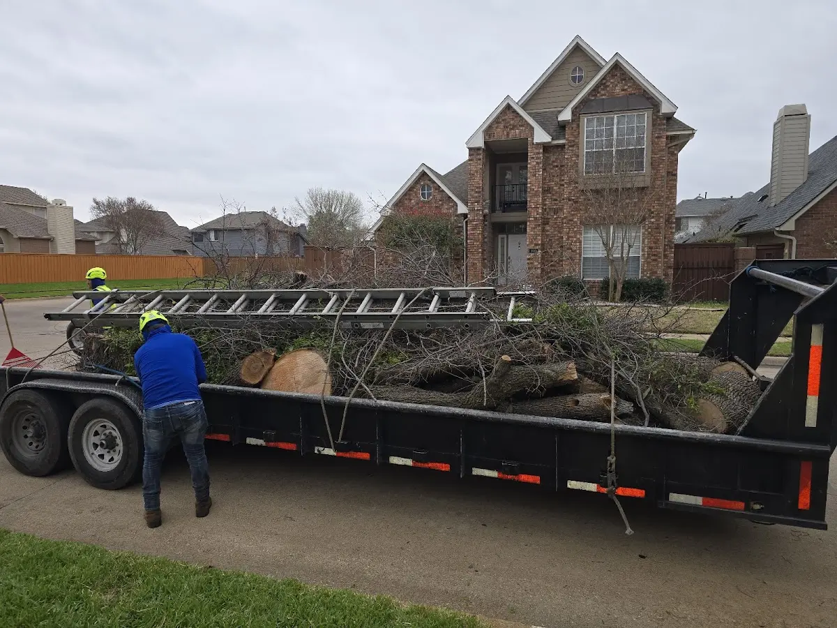 Expert Tree Fertilization with proper safety equipment in Leonardtown